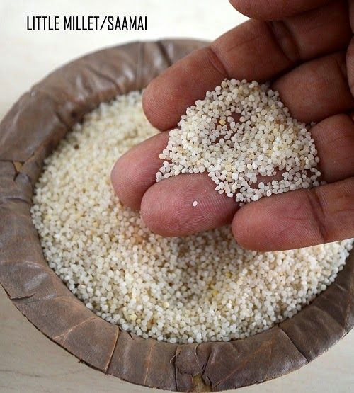 Little Millet