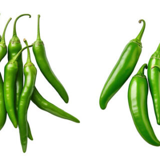 Fresh Green Chilli (Hari Mirch)