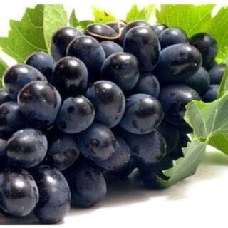 Black Grapes