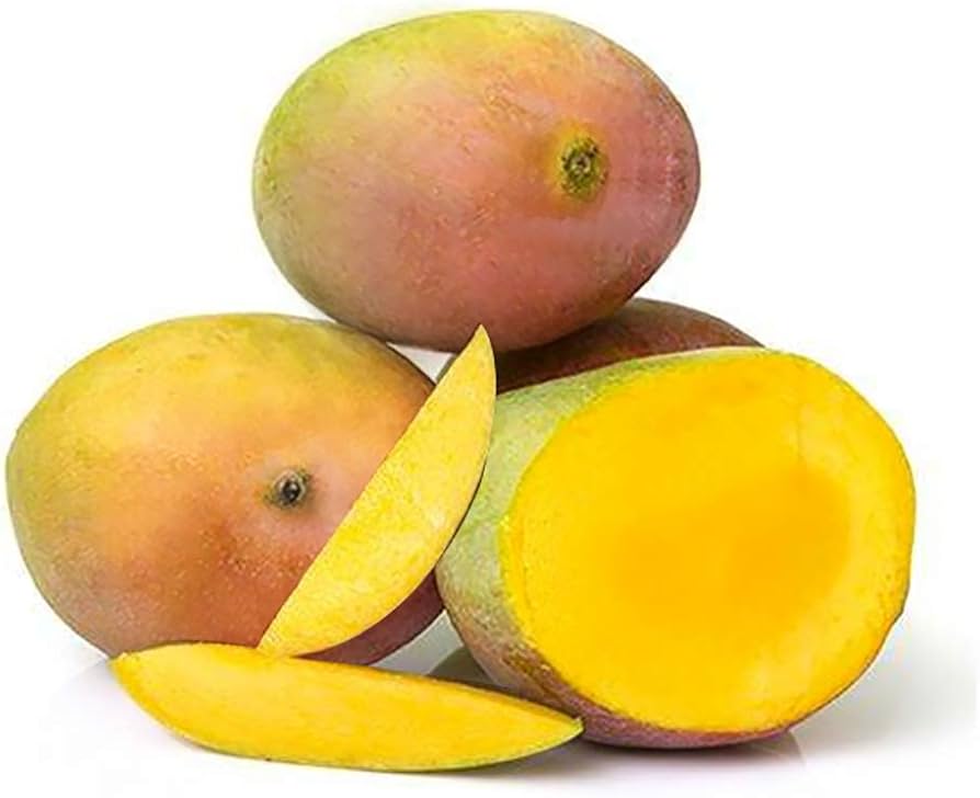 Mango Lal Bagh