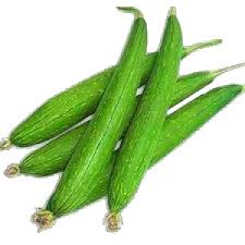 Fresh Dhodka (Sponge Gourd / Turai)